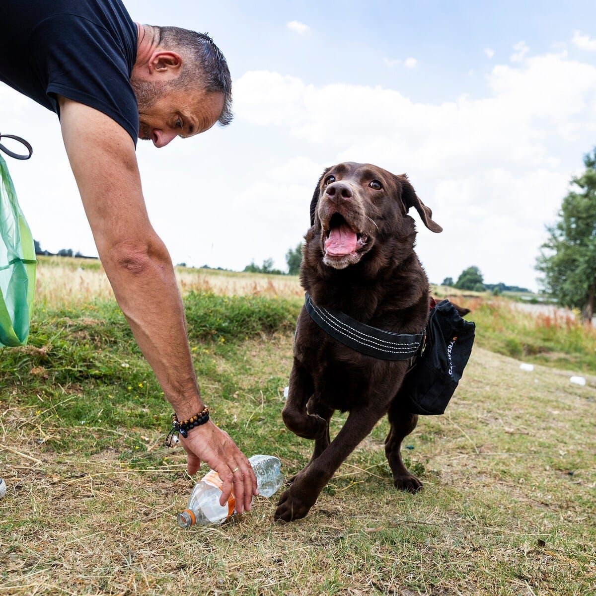 Hond Joy tijdens een opruimwandeling