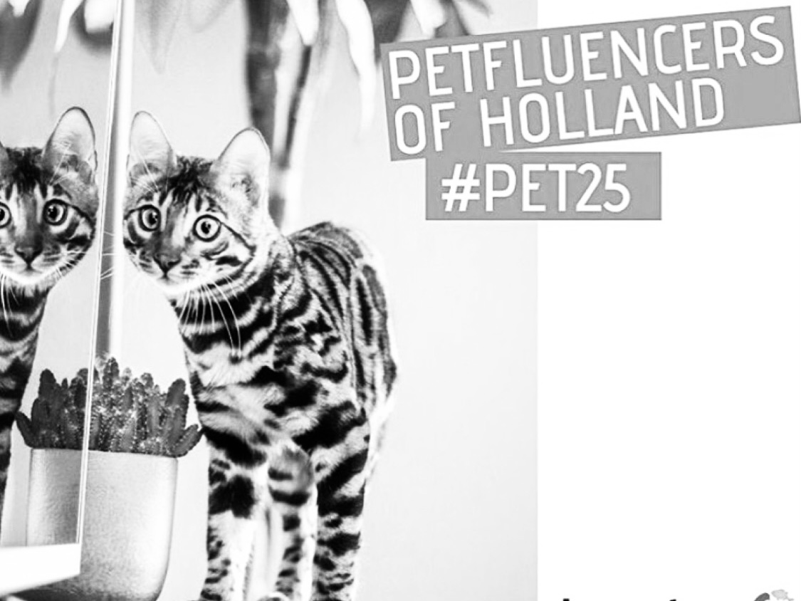 Petfluencers of Holland