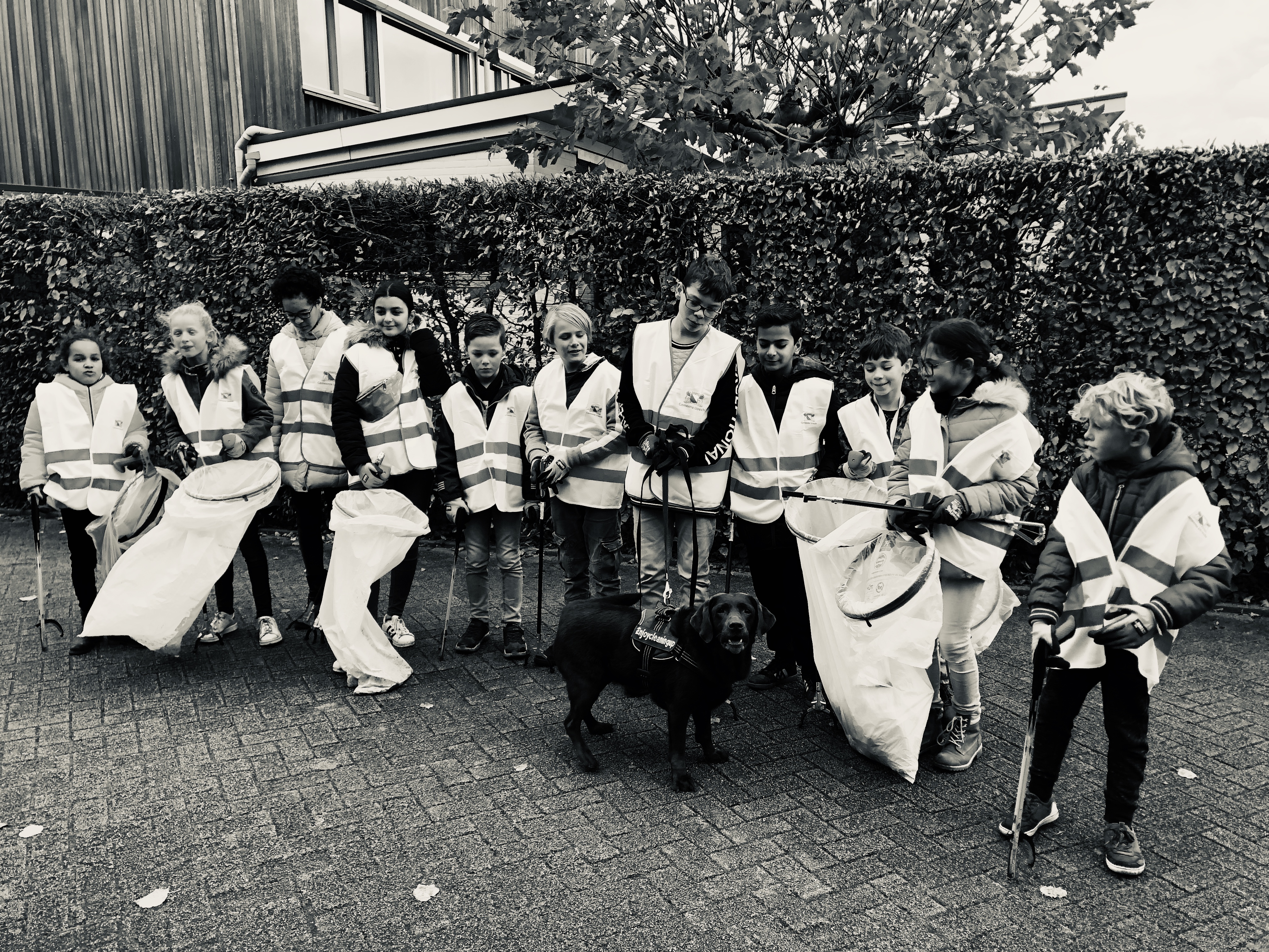 Cleanup Utrecht