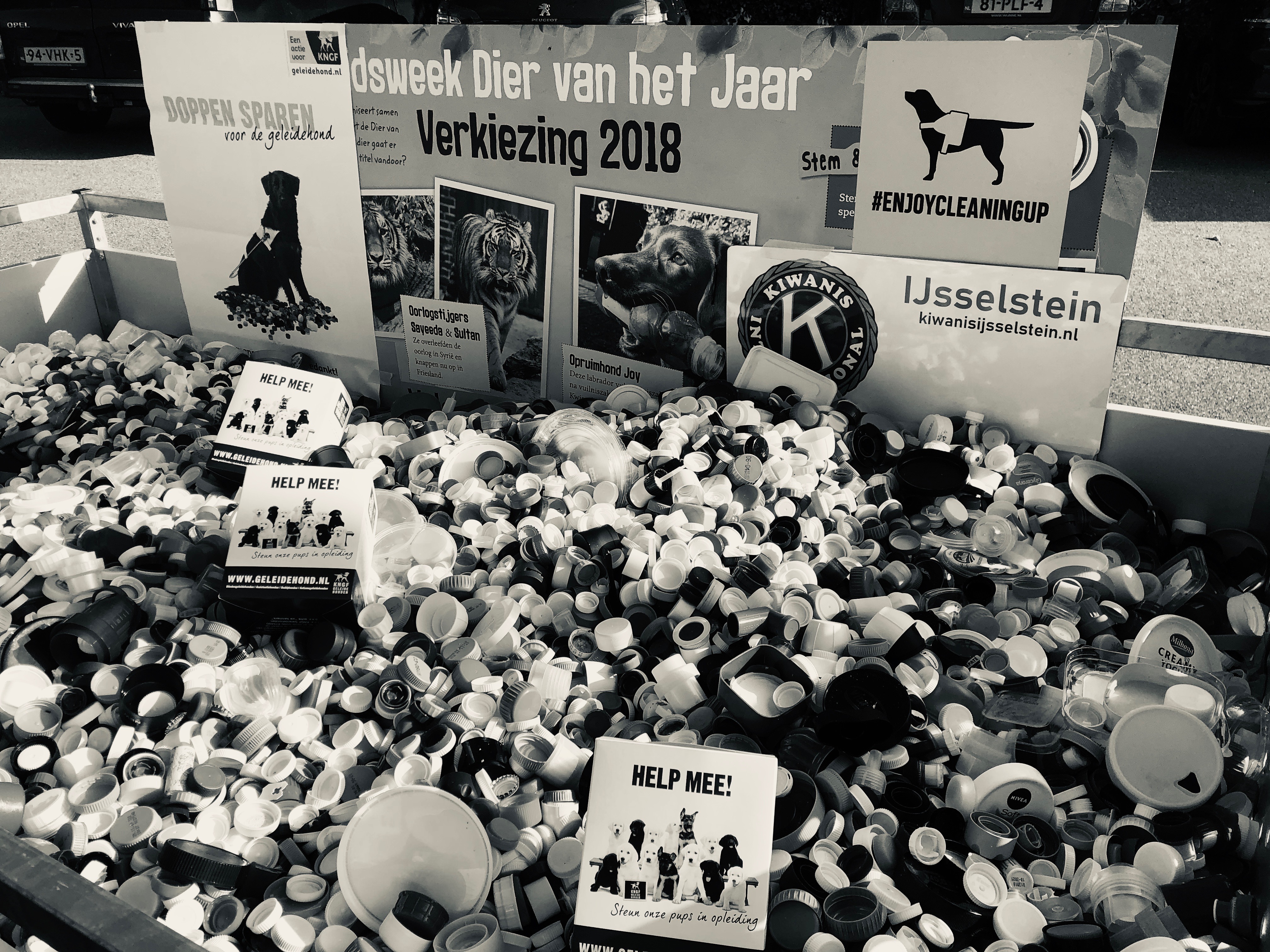 Dieren voor Dieren