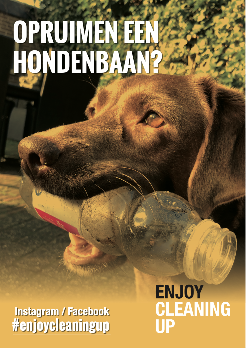 Opruimen een hondenbaan?