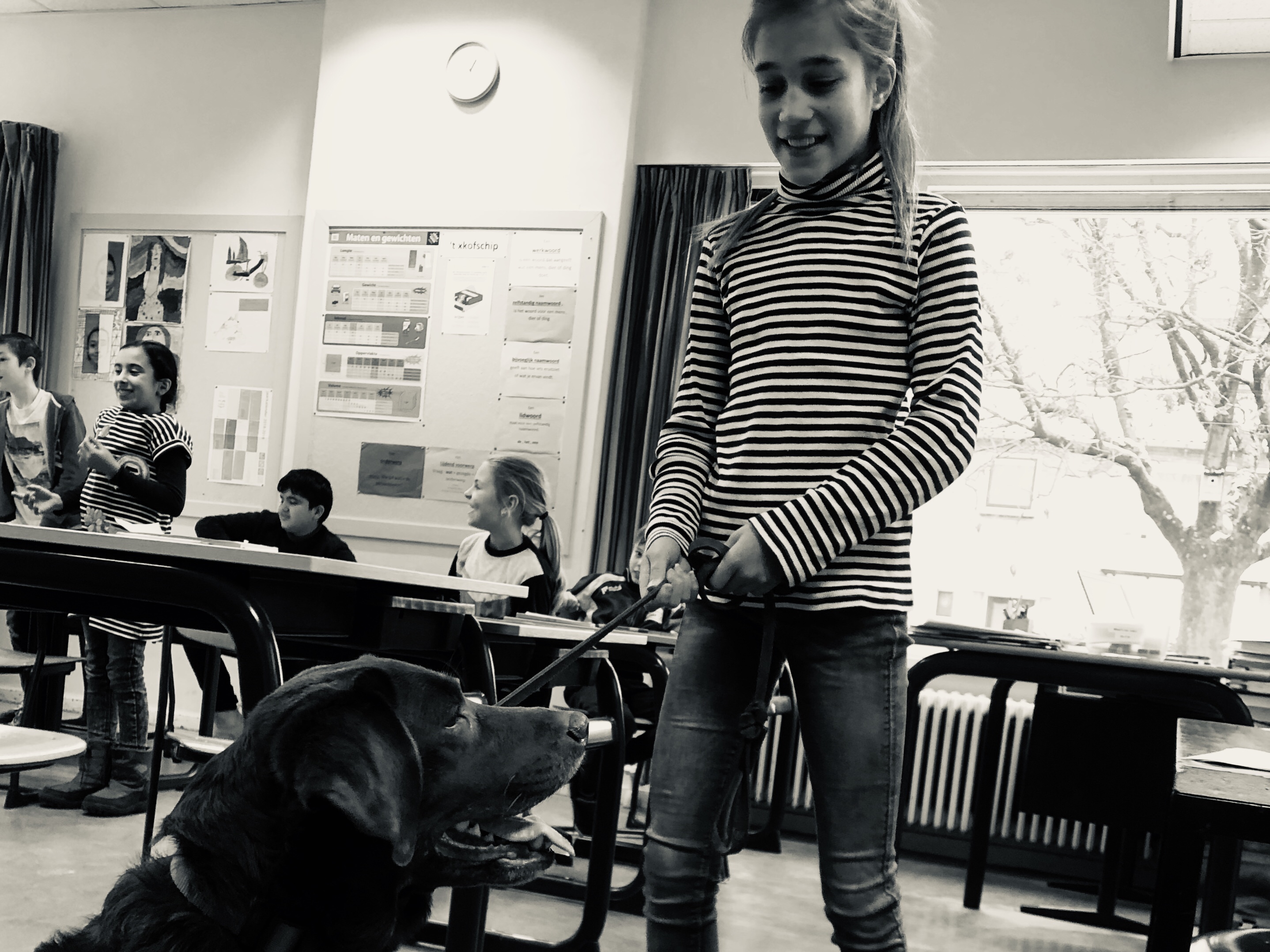 Spreekbeurt Jaylyn