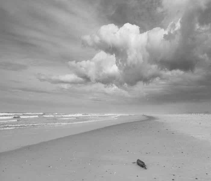 Beach clean-up Parnassia