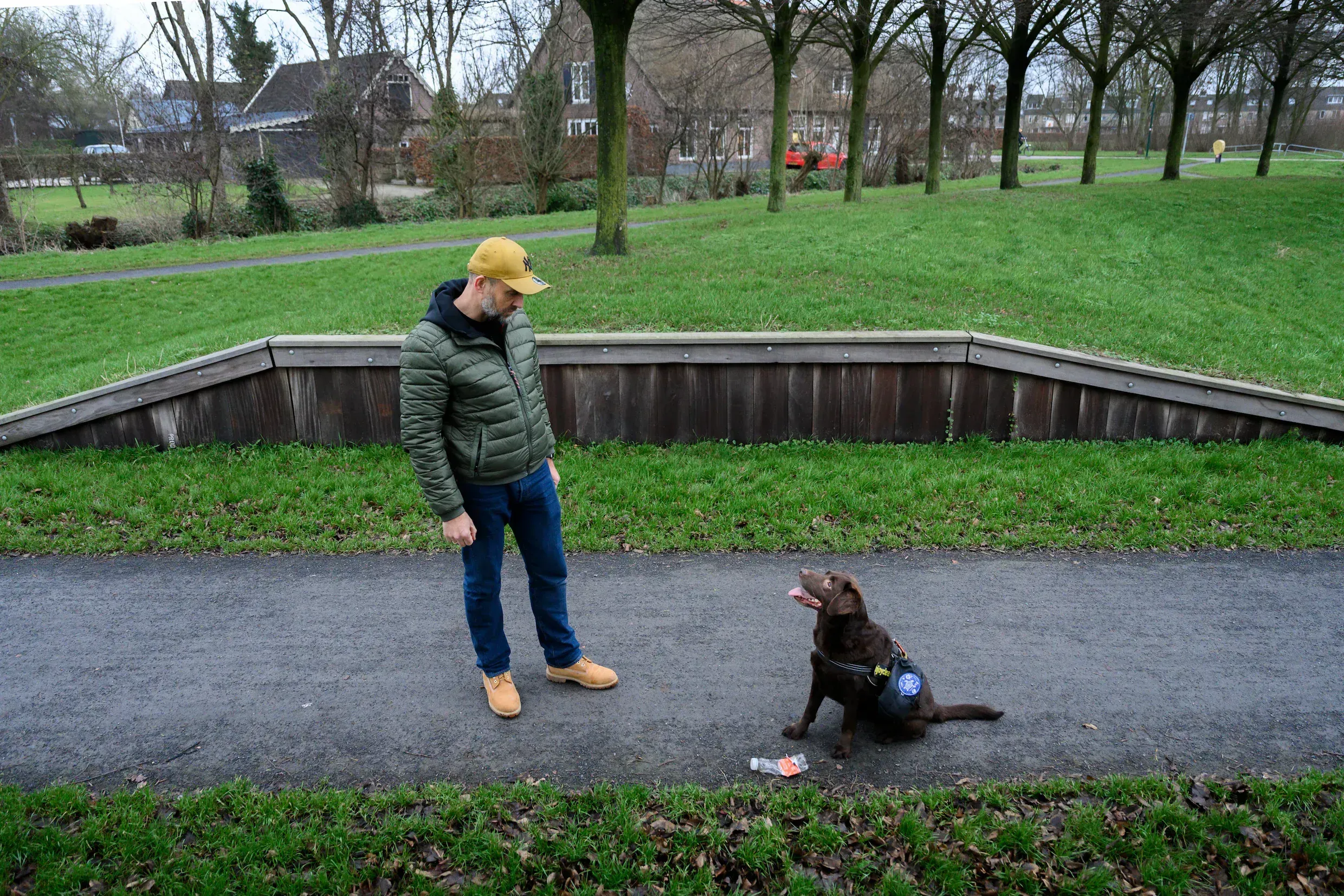 Hond zoekt naar afval in de natuur